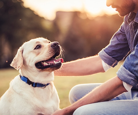 愛犬と“分かり合える関係”へ。