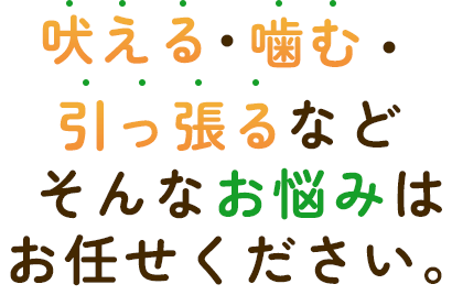 吠える・噛む・引っ張るなど、そんなお悩みはお任せください。