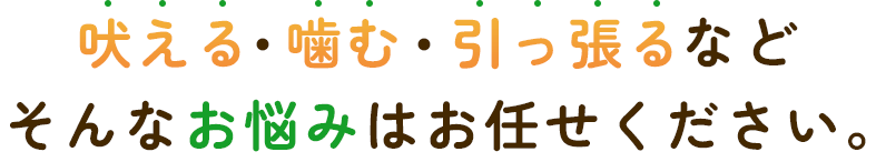 吠える・噛む・引っ張るなど、そんなお悩みはお任せください。