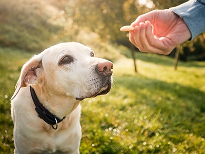02.道具を活用した明確な指導