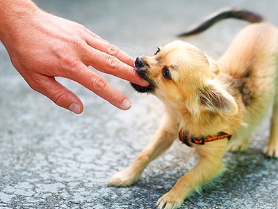 03.必要に応じて“ペナルティ”も活用